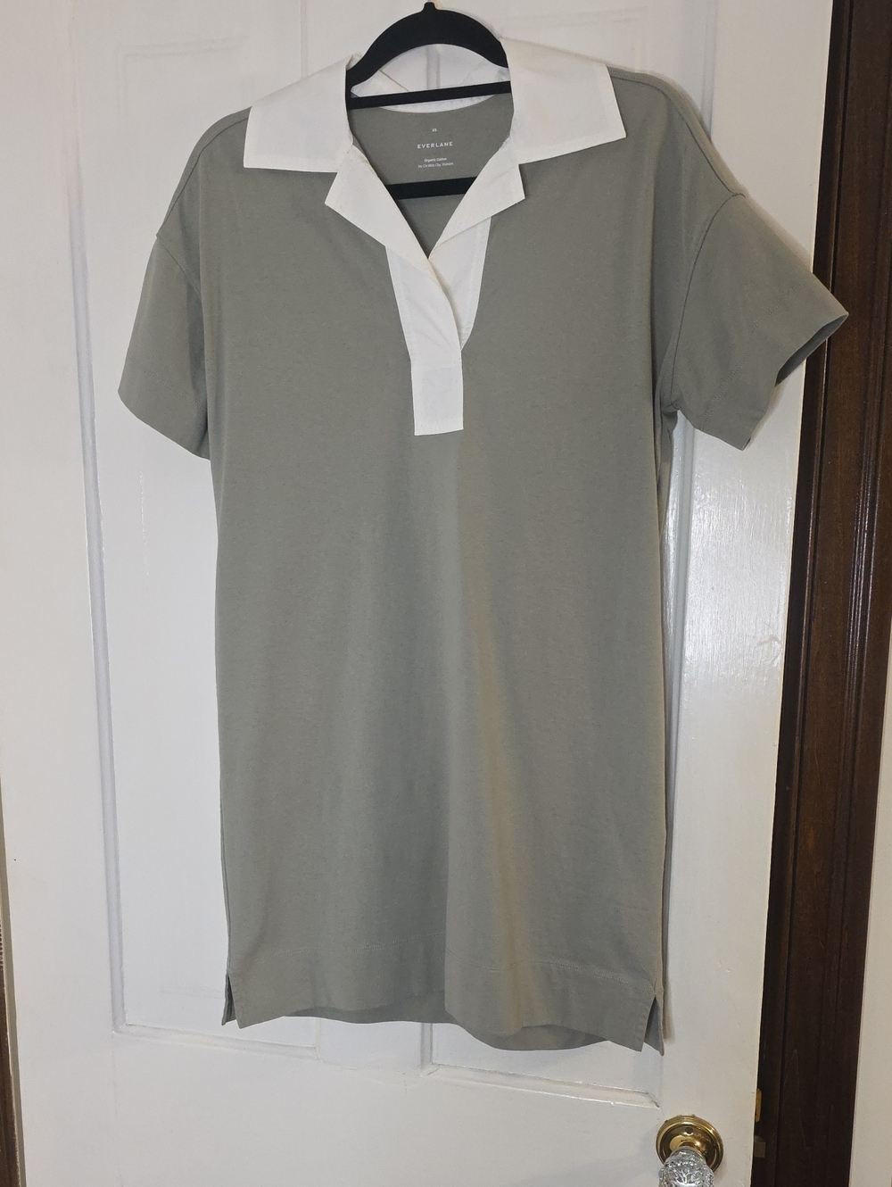 Everlane Short-Sleeve Polo Mini Dress in Sage Green with White Collar (NWOT)